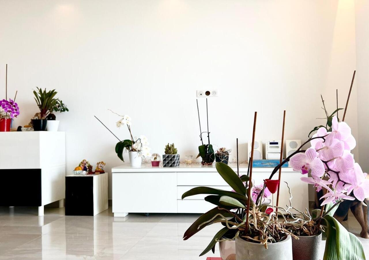 L'Appaloosa De Mer-Pool Tennis Parking-Sea View - -Capitalchic Services Cagnes Sur Me 외부 사진