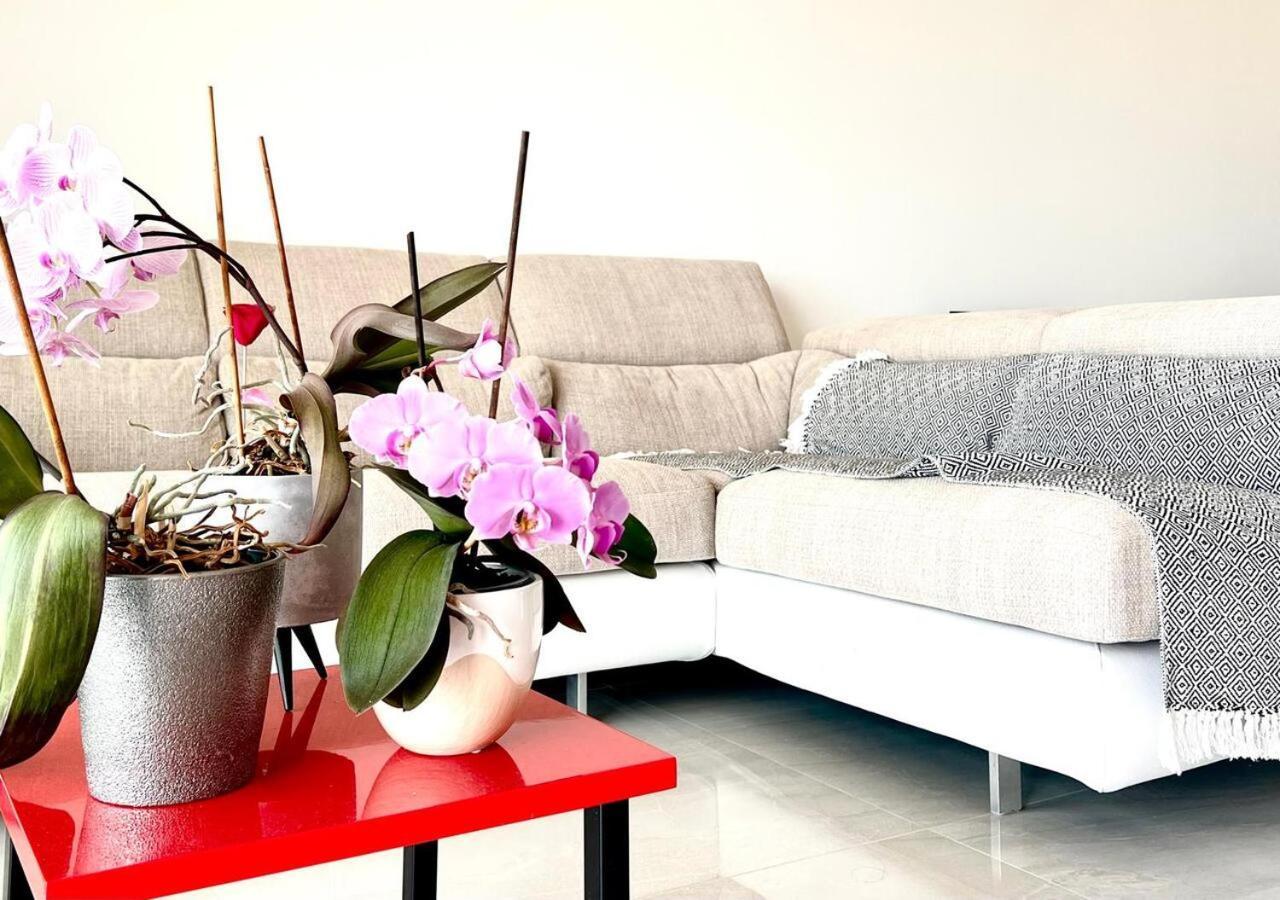 L'Appaloosa De Mer-Pool Tennis Parking-Sea View - -Capitalchic Services Cagnes Sur Me 외부 사진